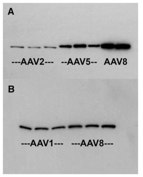 FIG. 5