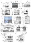 Extended Data Figure 6