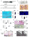 Extended Data Figure 1