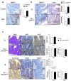 Extended Data Figure 4