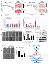 Extended Data Figure 9