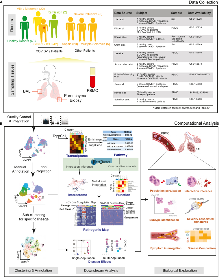 Figure 1