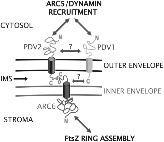 Figure 7.