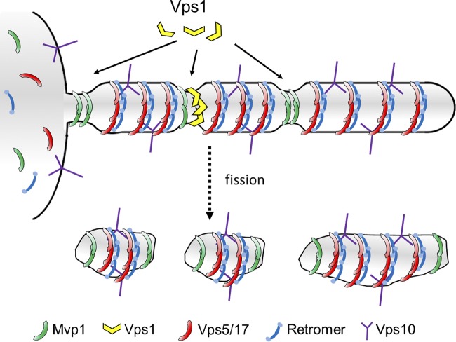 Figure 9.