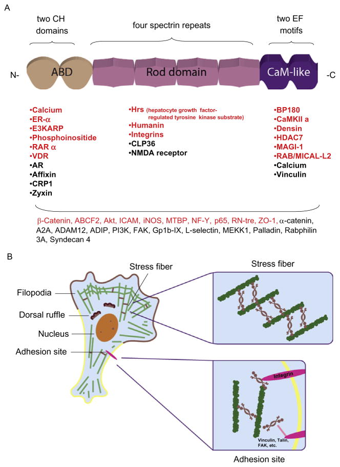 Figure 13.1