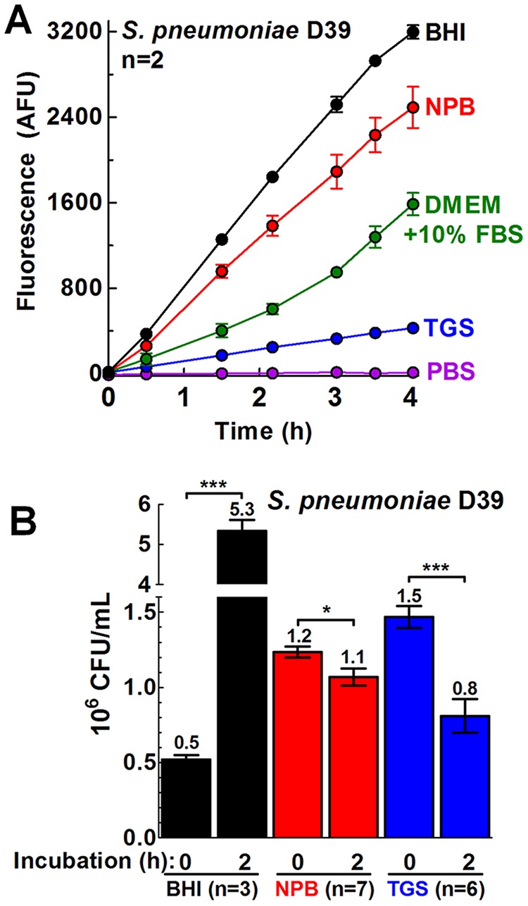 FIG 1