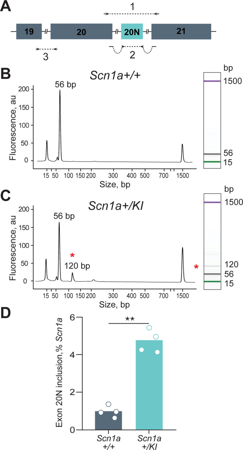 Fig 4