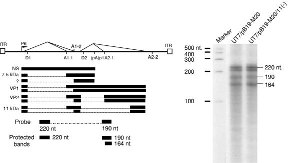 FIG. 6.