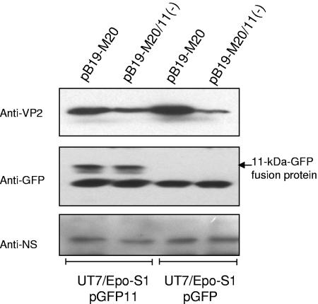 FIG. 7.