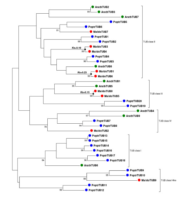 Figure 7