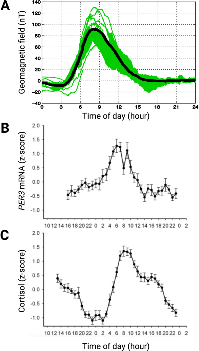 Fig. 2