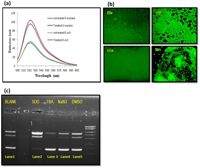 Fig 10