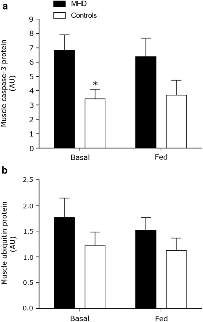 Figure 7