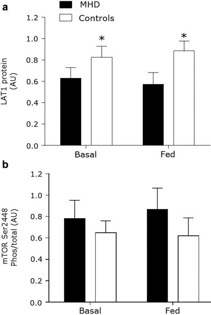 Figure 6