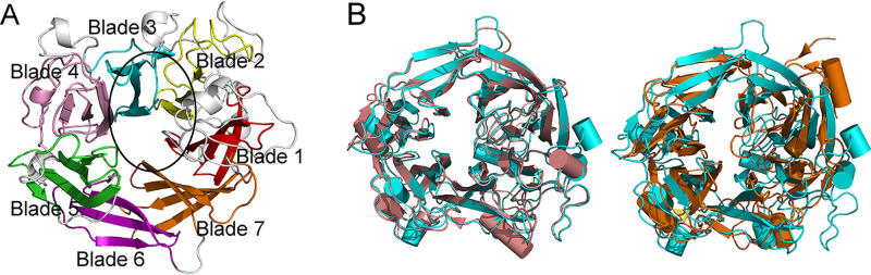 FIG 5