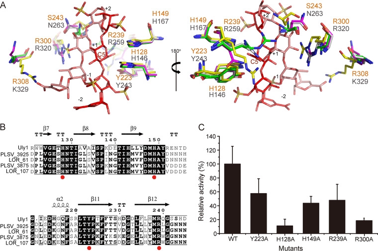 FIG 6