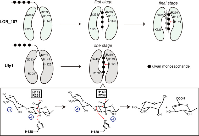 FIG 8