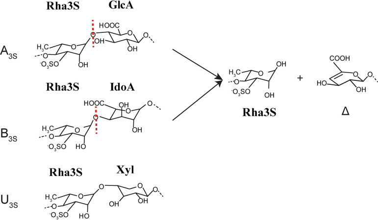 FIG 1