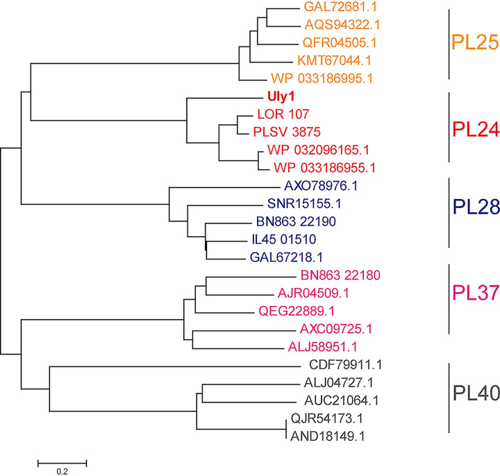 FIG 2