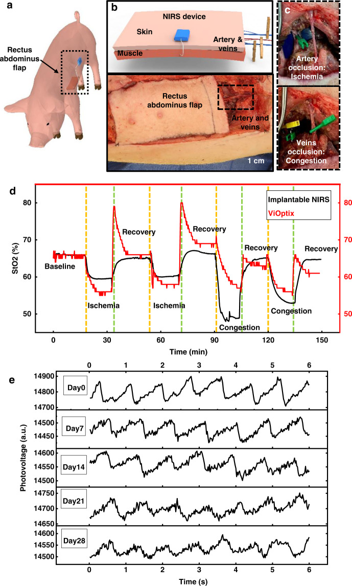 Fig. 4