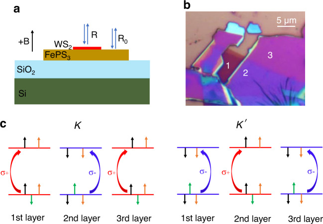 Fig. 1