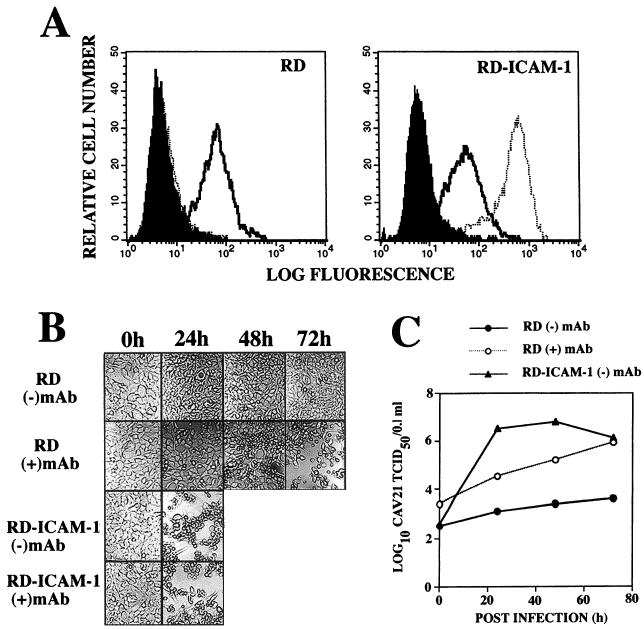 FIG. 3