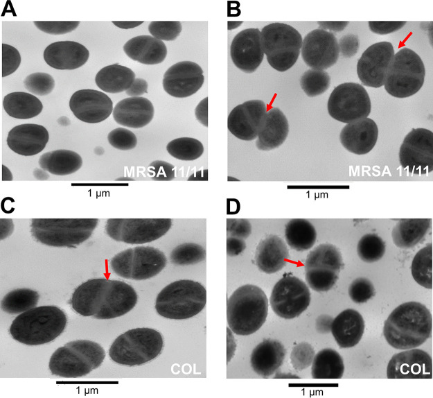 FIG 3