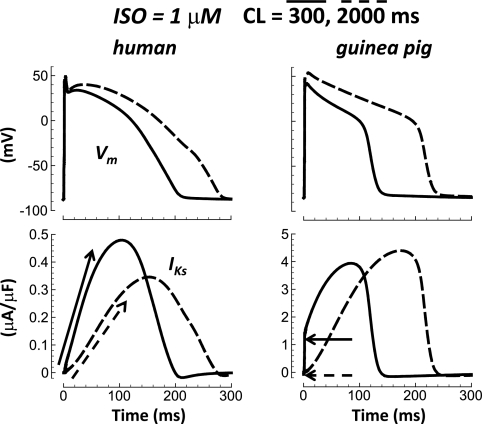 Fig. 5.