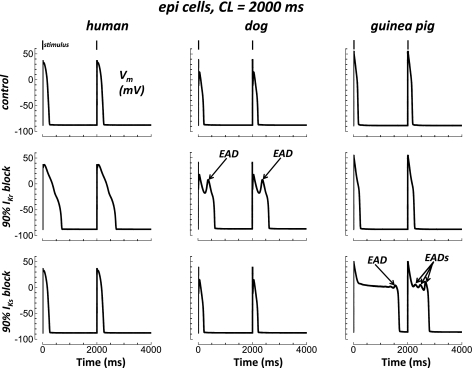 Fig. 7.