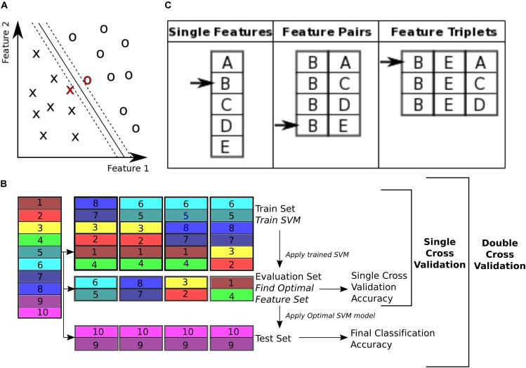 FIGURE 3