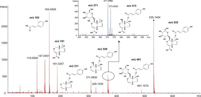 Figure 2