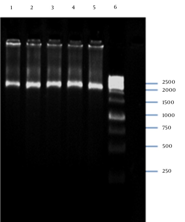 Figure 5.