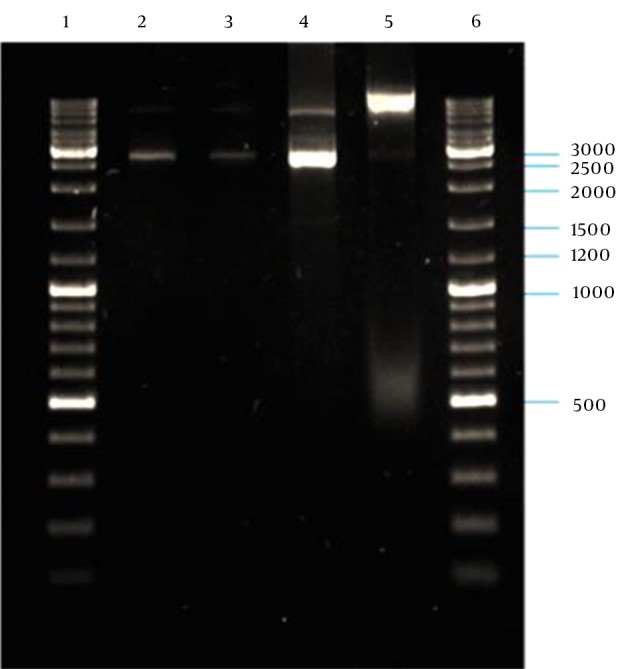 Figure 6.