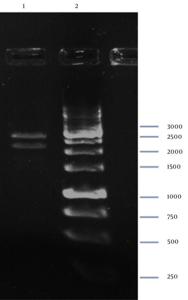 Figure 7.