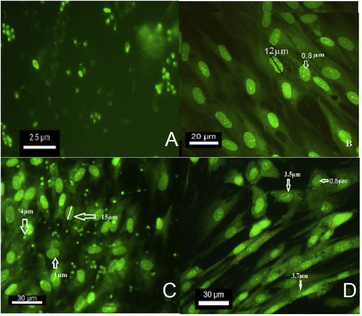 Figure 4