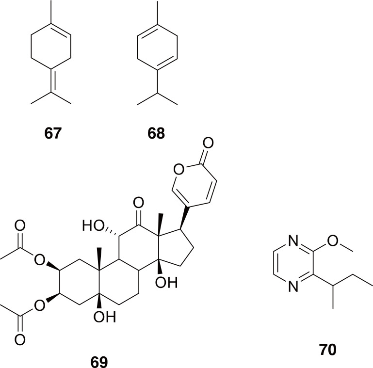 Fig. 10