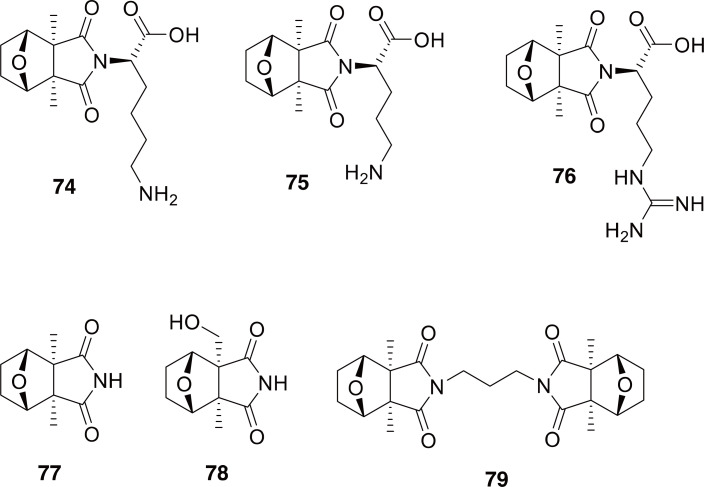 Fig. 12