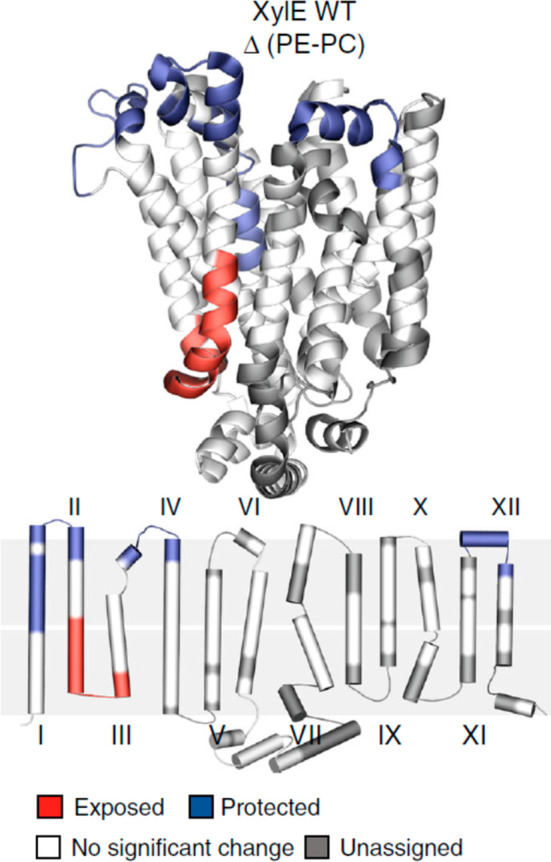 Figure 37