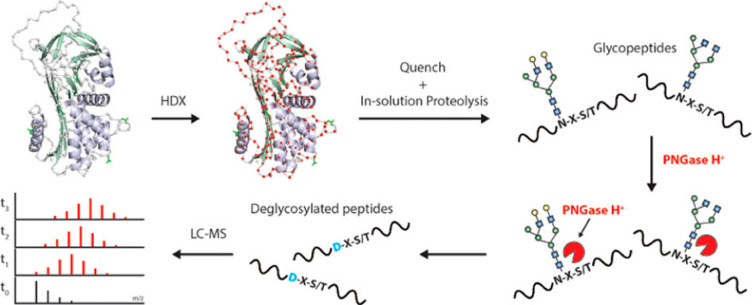 Figure 38