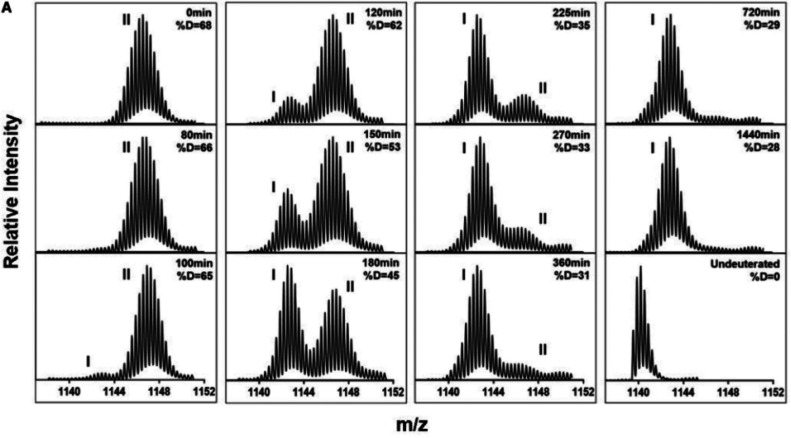 Figure 33