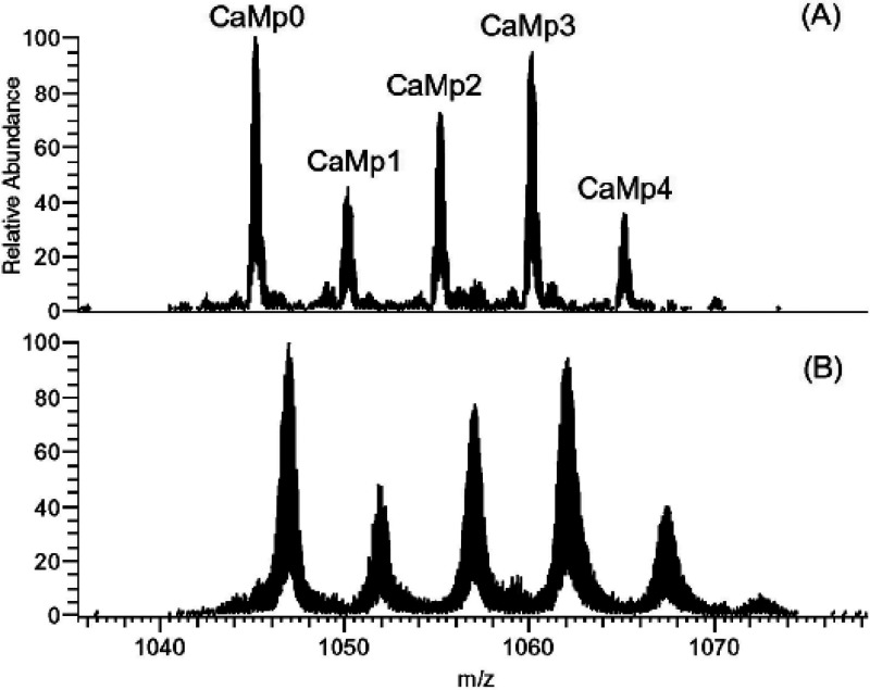 Figure 26