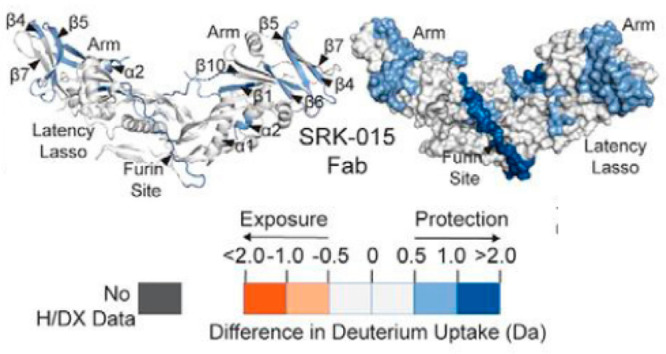 Figure 31