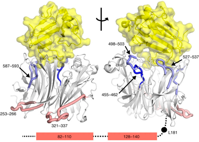 Figure 30