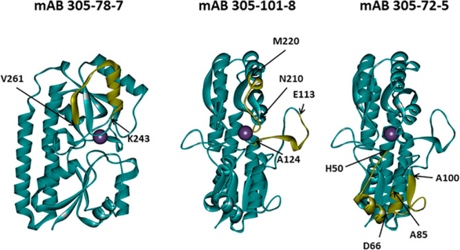 Figure 29