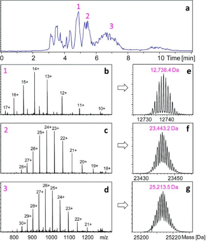 Figure 27