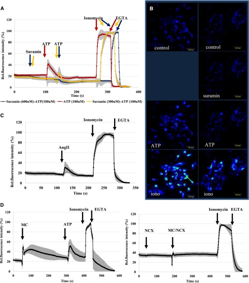 Figure 2.