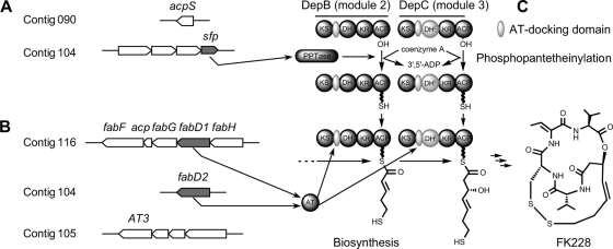 FIG. 1.