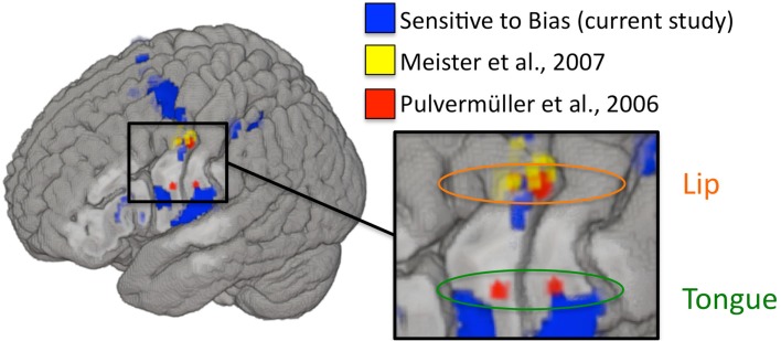 Figure 6