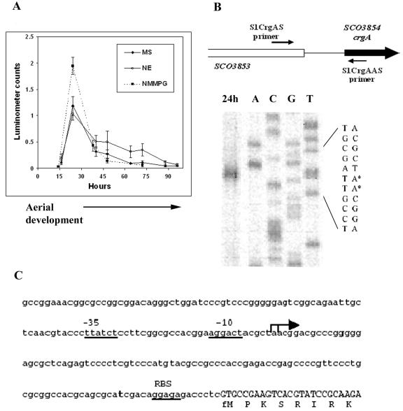 FIG. 1.