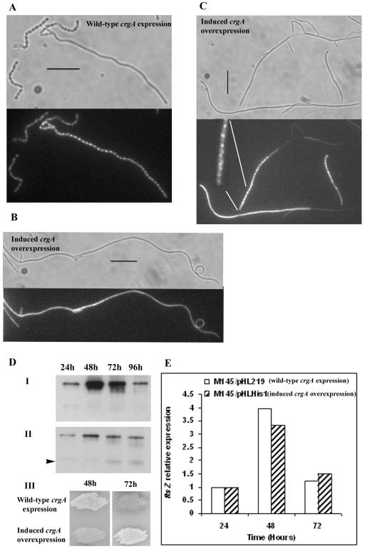 FIG. 5.